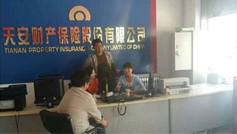 天安財險商車改革啟航 客戶咨詢與信息咨詢服務全面就位