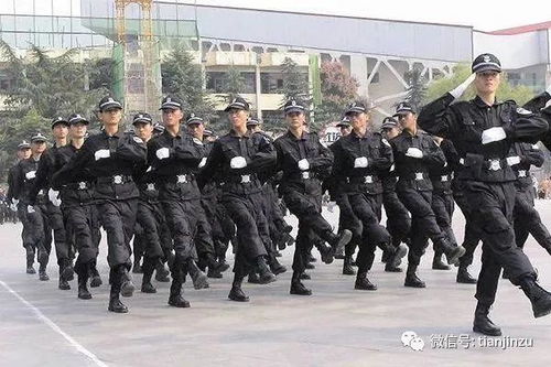 冬至過后數九寒天開啟 津城氣溫與保安服務消解讀